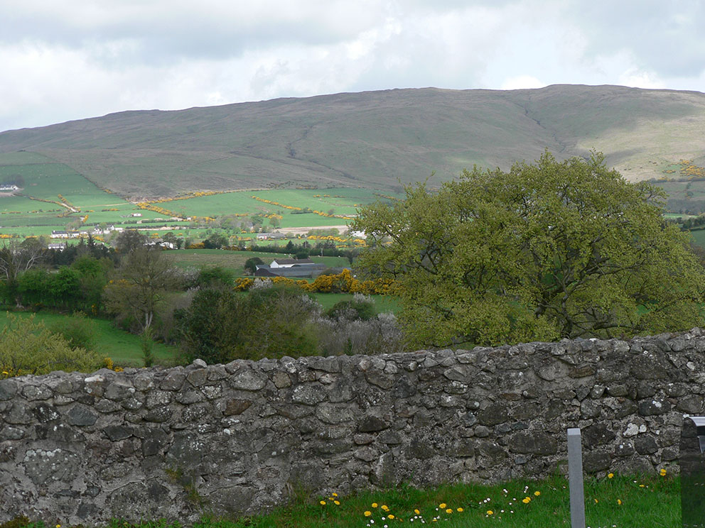 Image of View N to Slieve Gallion. Photo: Keith Ison.