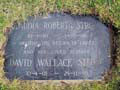 Image of grave of David Wallace STRONG.