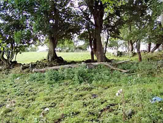 LANE's Birch Hill Tatnagilta home site.  Photo: Bill Cardwell.