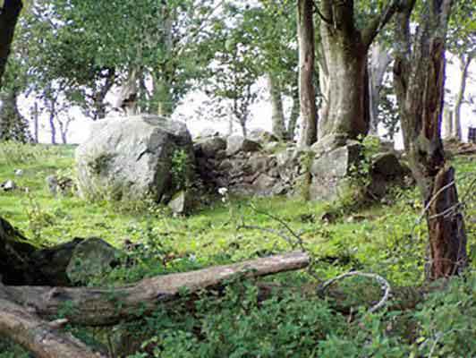 Remains of Birch Hill homes.  Photo: Bill Cardwell.