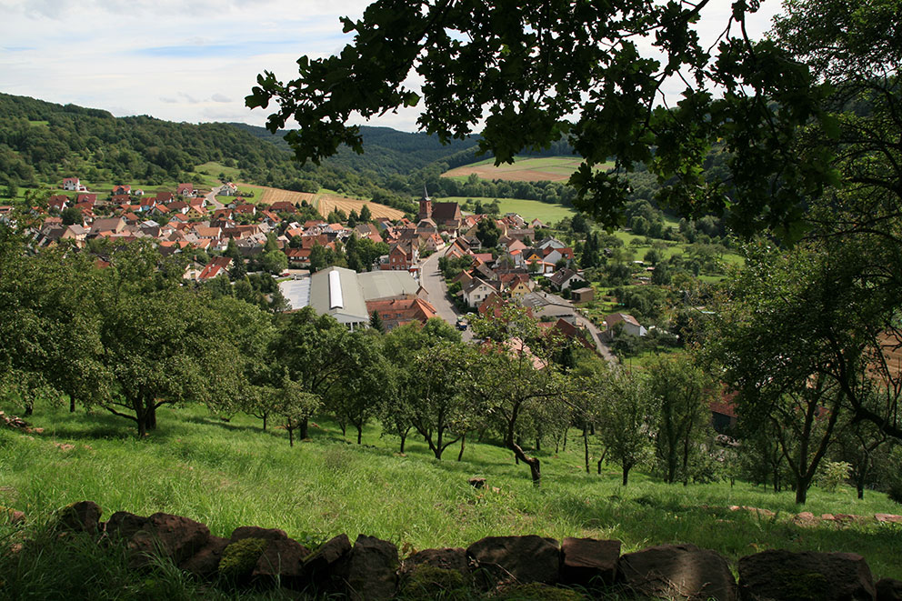 Image of view of Niklashausen near the bottom of the Mühlberg. Photo: Marlise Düx.