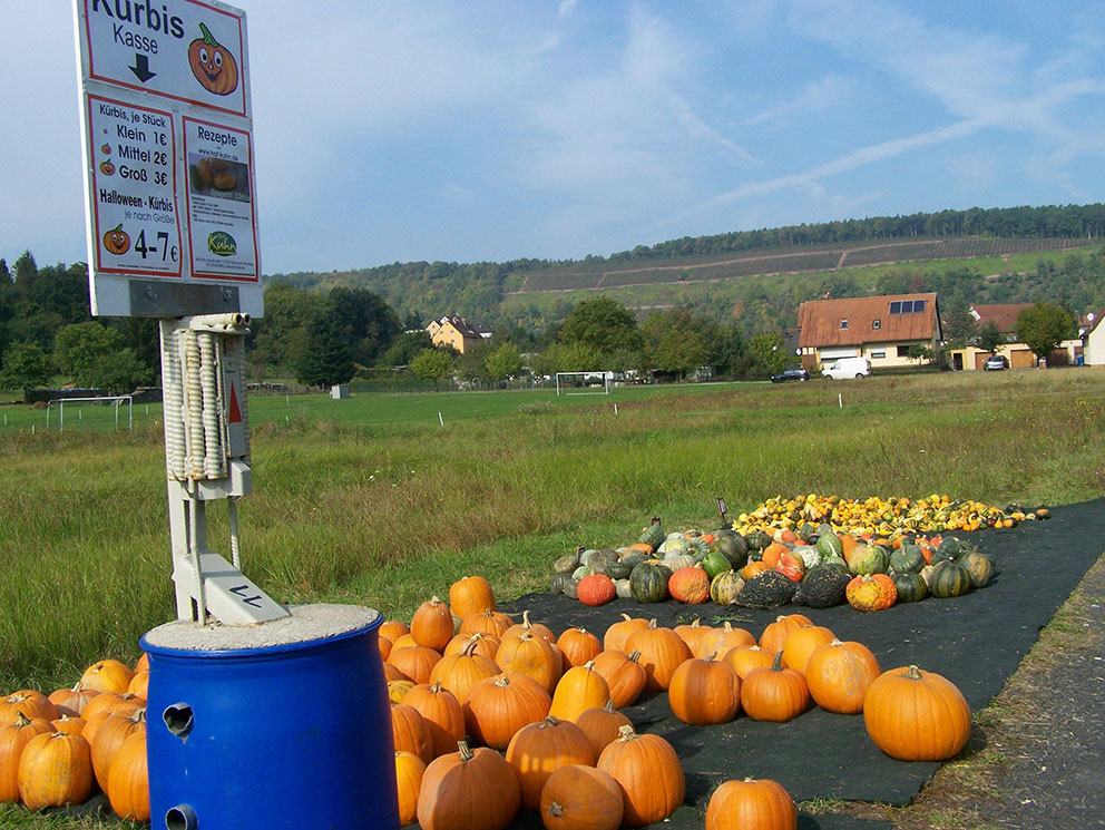 Image of pumpkin stall at edge of Eichel. Photo: Colin Horn.